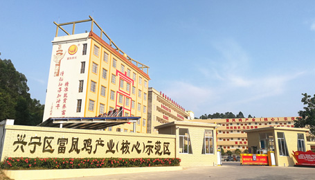 关于草莓短视频